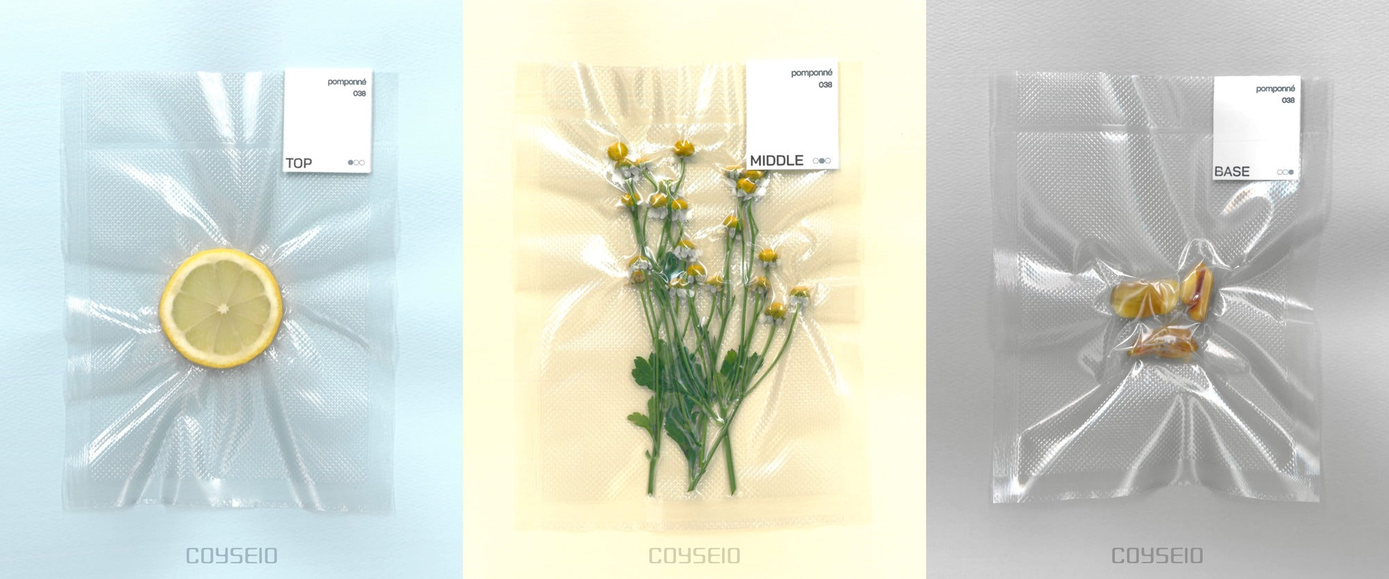 COYSEIO - Pomponne 038 Hand Cream 50ml