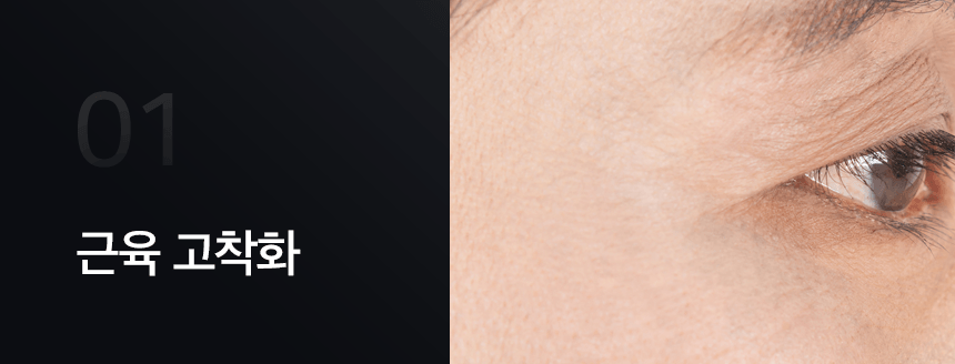 Cellology CELLNEWMER IRON (4-in-1 Total Care Device)