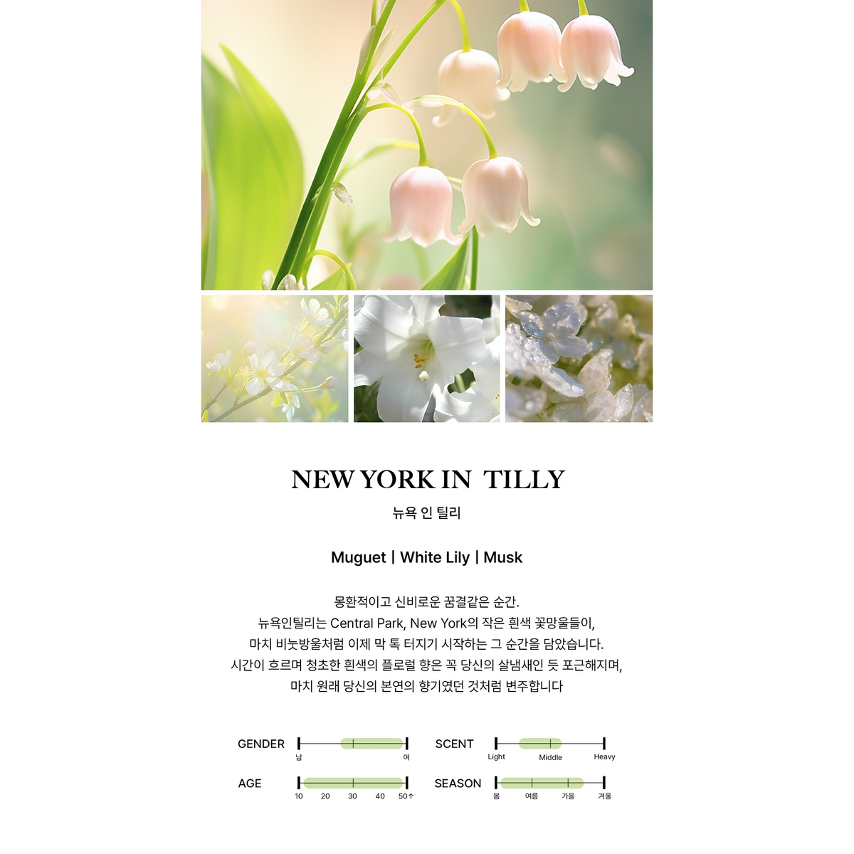 BIBIANG New York In Tilly: complete original scent profile and fragrance-note guide.