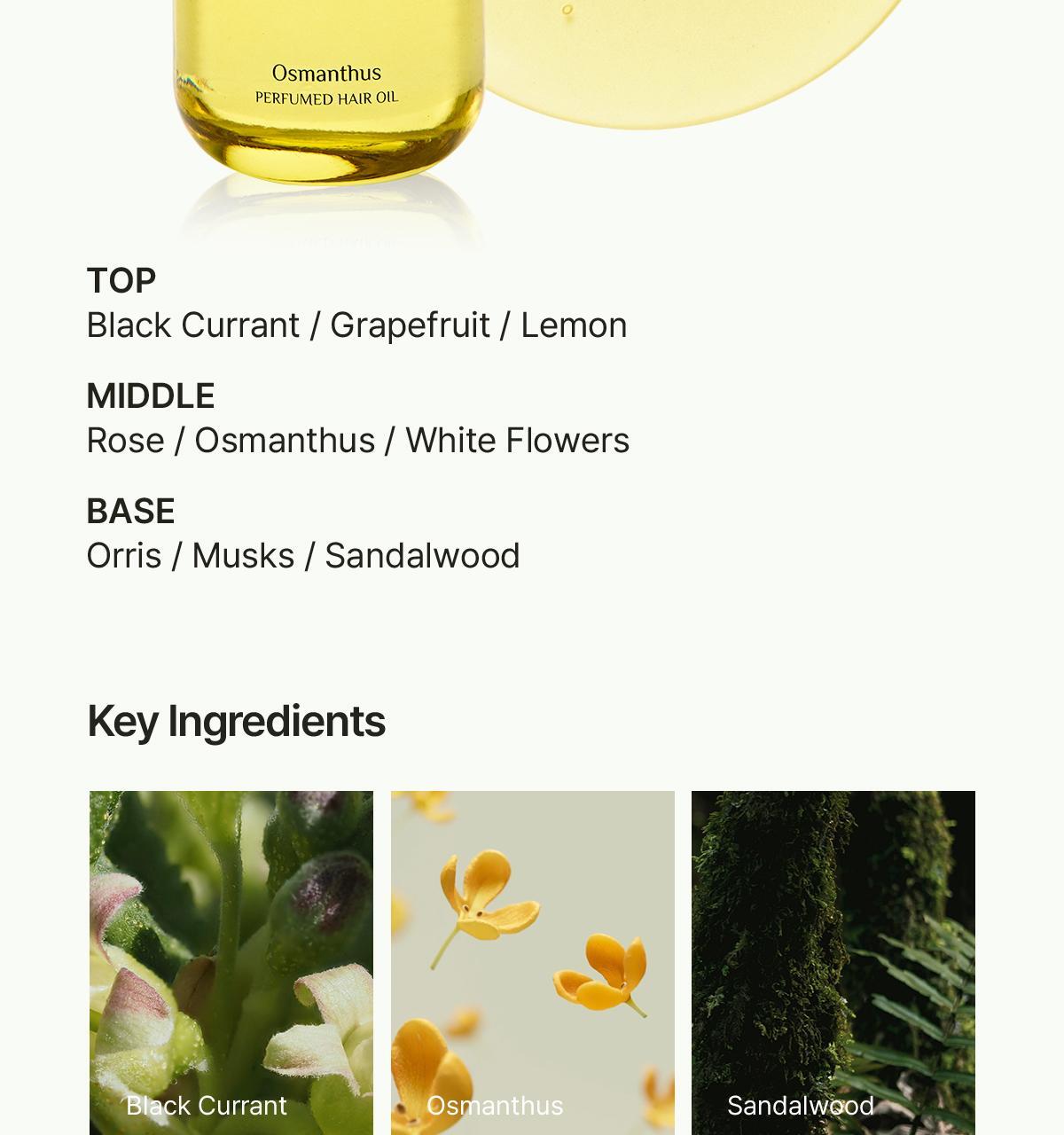 LADOR - Perfumed Hair Oil 80ml (JIMIN&