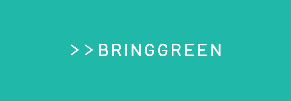 BRINGGREEN - Zinc Teca Blemish Serum Soothing Mask (3+1)