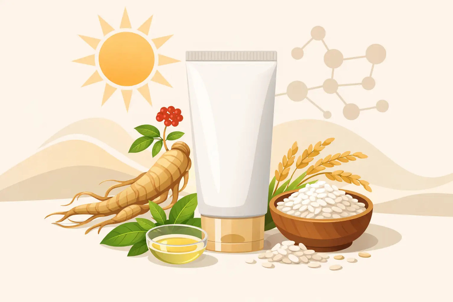 Beauty of Joseon Sunscreen Ingredients Explained