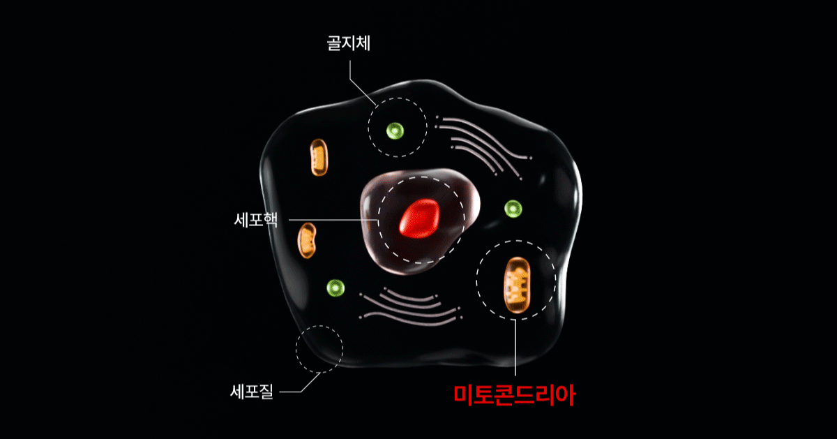 makeON - ONFACE LED Mask (Firming &amp; Brightening Care) [New Launch!]