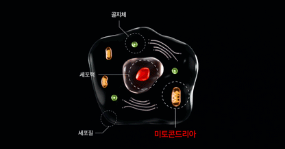 makeON - ONFACE LED Mask (Firming &amp; Brightening Care) [New Launch!]