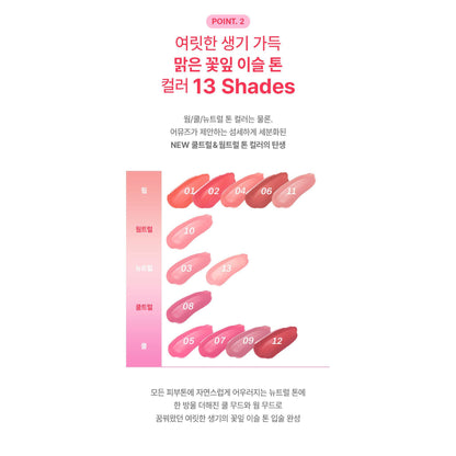 AMUSE Dew Tint complete original thirteen-shade undertone map.