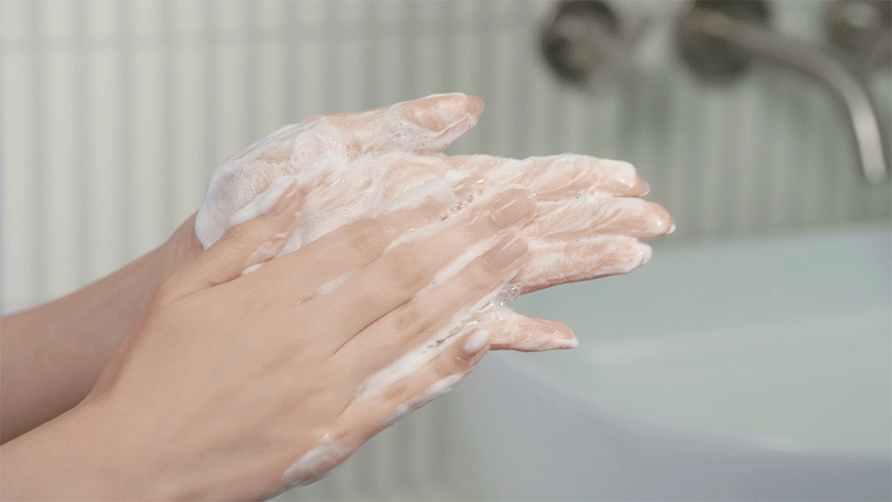 Healing Bird Revive Protein Shampoo 500ml, complete original guide, part 12 of 26.