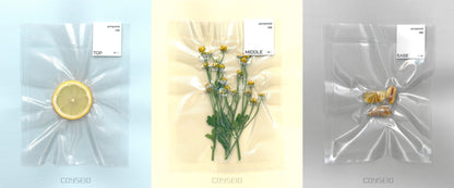 COYSEIO - Pomponne 038 Perfume 50ml