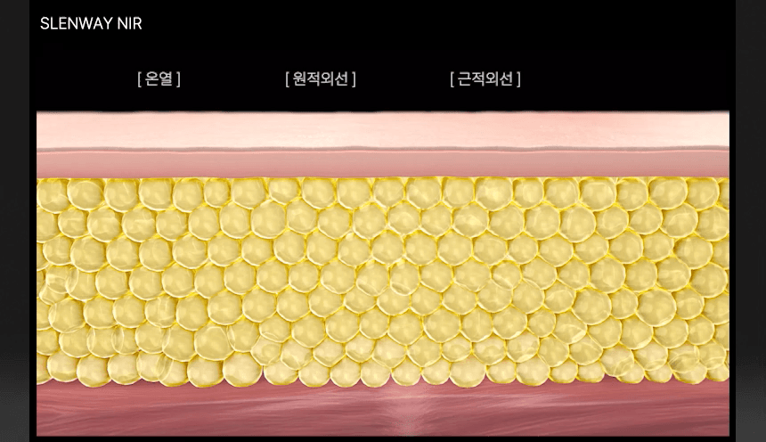 BEAUND - Slenway Beauty Device