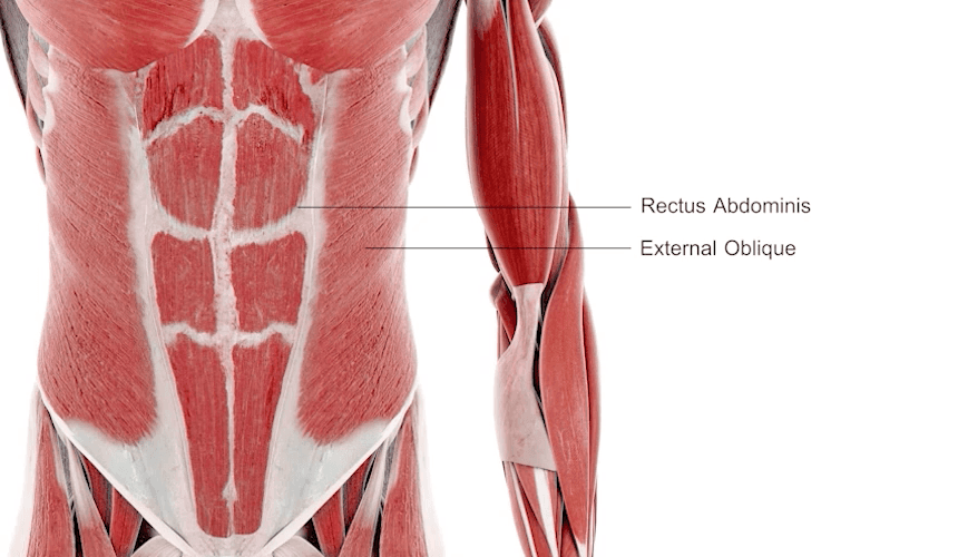 BEAUND - Slenway Beauty Device