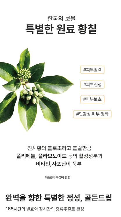 REBECOCO - Golden Drip Phyto‑Repairing Ampoule Serum