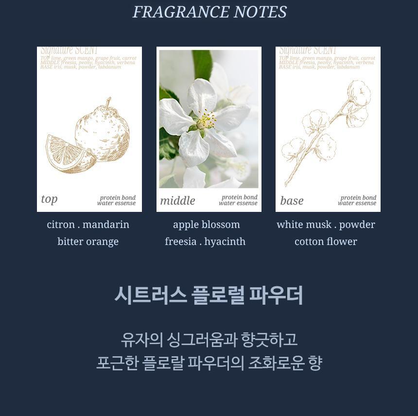 HAiR+ - Protein Bond Ampoule Essence 200ml + 50ml + Mirror &amp; Comb Set (Pokémon Collaboration)