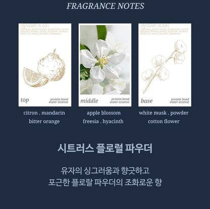 HAiR+ - Protein Bond Ampoule Essence 200ml + 50ml + Mirror &amp; Comb Set (Pokémon Collaboration)