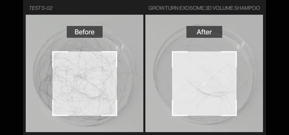 lilyeve - Grow Turn Exosome 3D Volume Shampoo 500ml + 100ml + Charmander Pouch Key Chain (Pokémon Collaboration)
