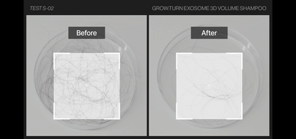 lilyeve - Grow Turn Exosome 3D Volume Shampoo 500ml + 100ml + Charmander Pouch Key Chain (Pokémon Collaboration)