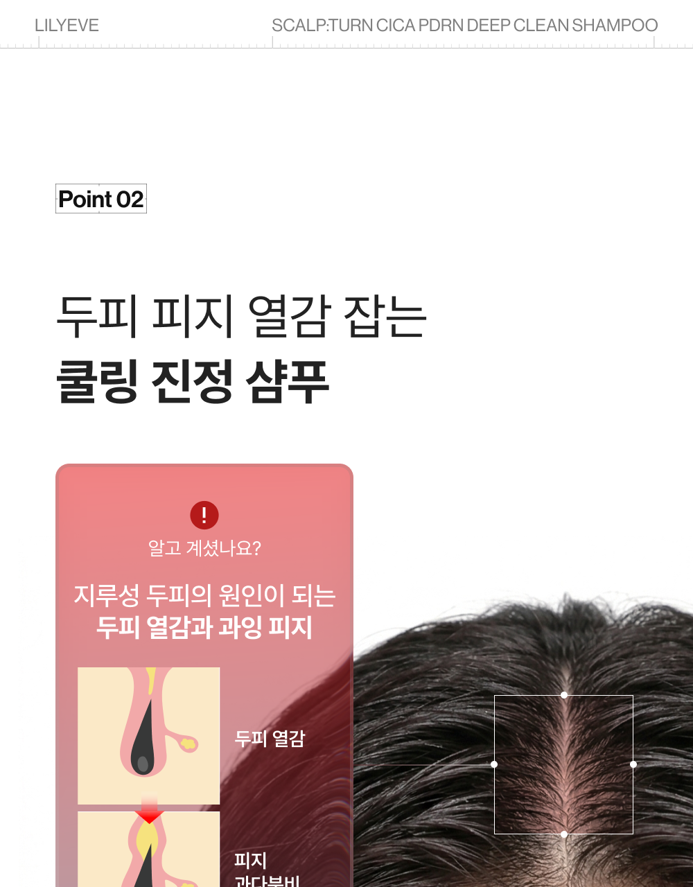 lilyeve - Scalp Turn Cica PDRN Deep Clean Shampoo 500g + 100g + Jigglypuff Pouch (Pokémon Collaboration)