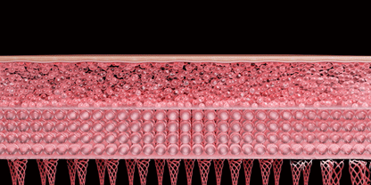 THERMATHERA - Unlimited-Shot HIFU Beauty Device [New Launch!]