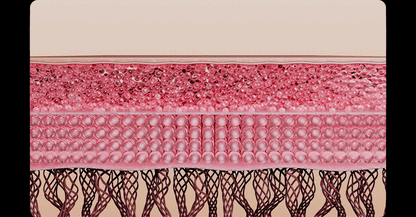 THERMATHERA - Unlimited-Shot HIFU Beauty Device [New Launch!]