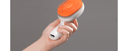 [lilyeve] - GrowTurn Brush Steam Booster