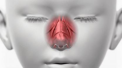 HONBODY - Nose Tune (Beauty Device)
