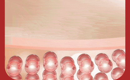 ALIGNLAB Leffit V Band-Type Massager (V-Line &amp; Lifting &amp; Firming)