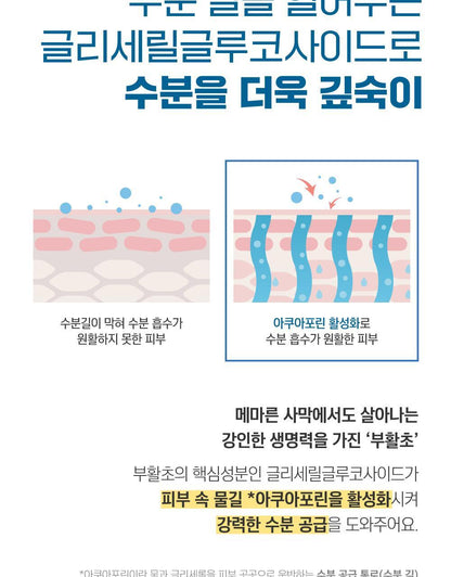 [ROUND LAB X Nunmeongi] Birch Juice Moisturizing Sunscreen 50ml 1+1 (+ Sticker)