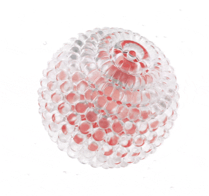 Dr.FORHAIR - Folligen Thickening Scalp Tonic 120ml x 2ea + Pokémon Hair Clip (2P) (Pokémon Collaboration)