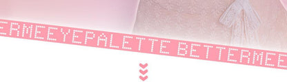 2aN Better Me Eye Palette (Holiday Edition)