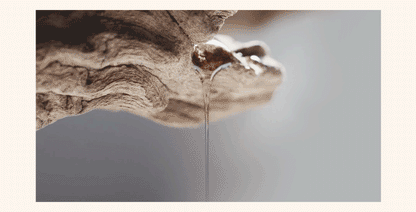 Mastic - White Mastic Foam Cleanser