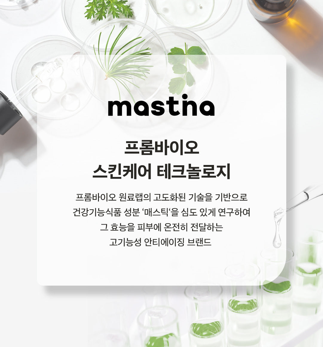 Mastic - White Mastic Foam Cleanser