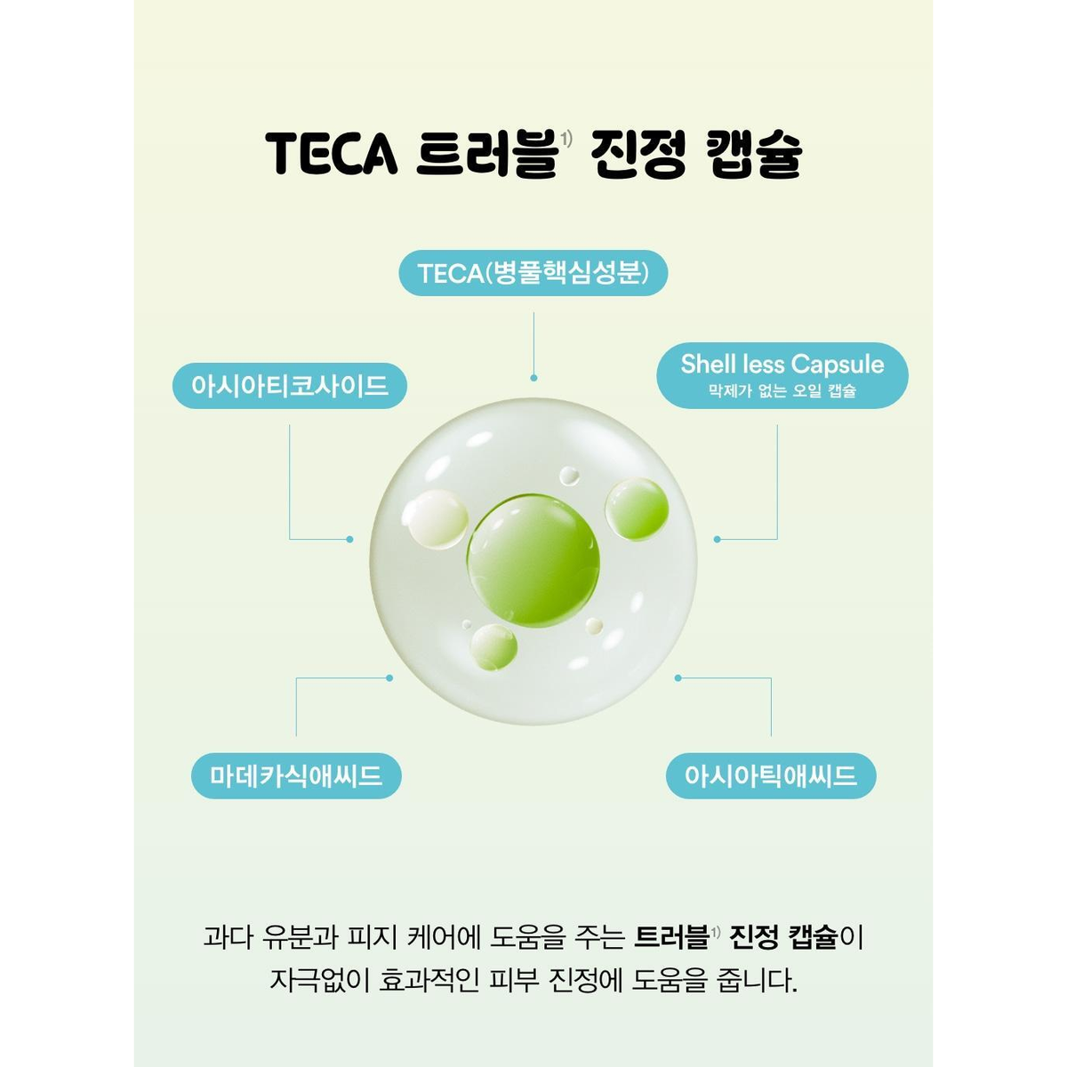 Abib TECA capsule serum manufacturer ingredient diagram