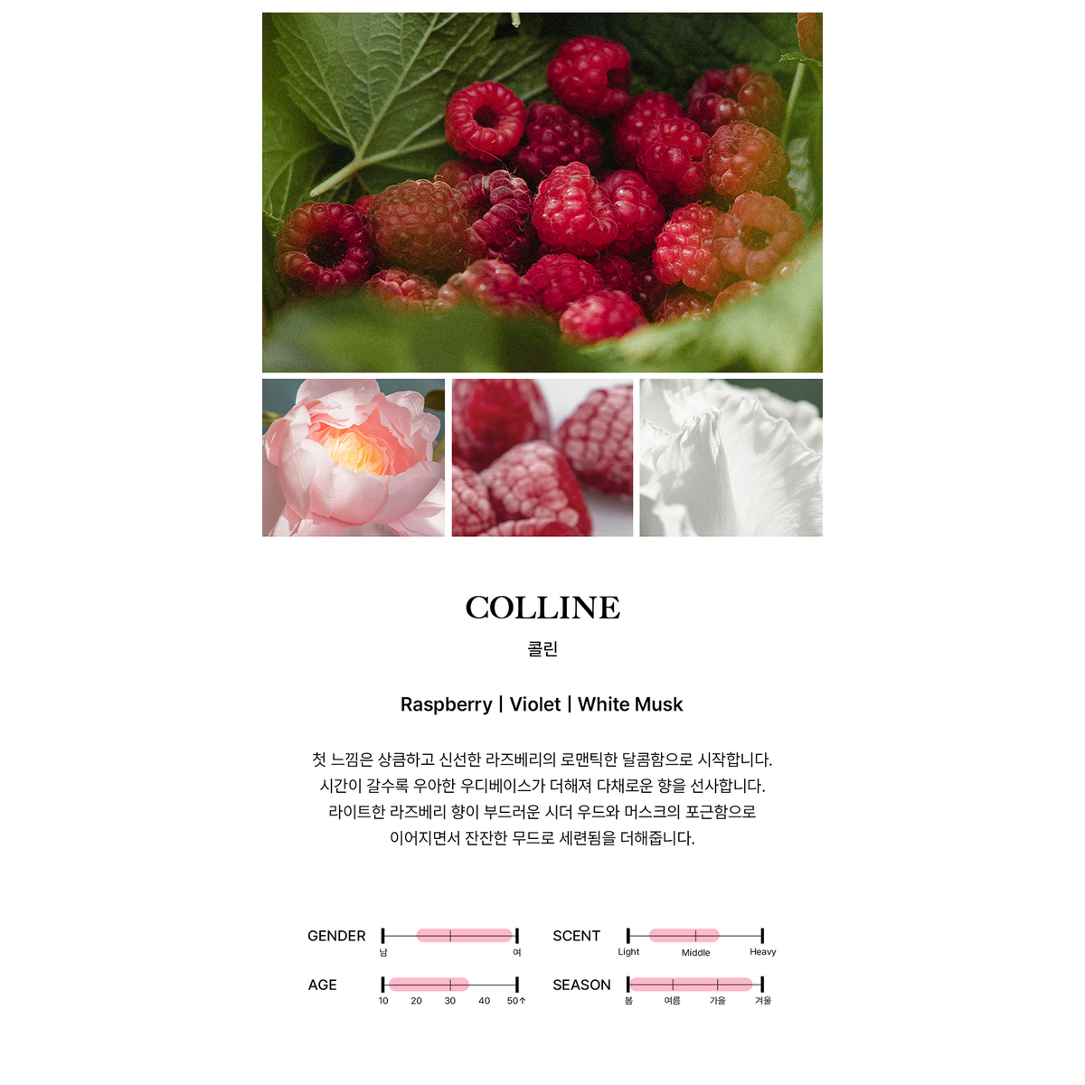 BIBIANG Colline actual complete manufacturer scent profile and fragrance-note illustration