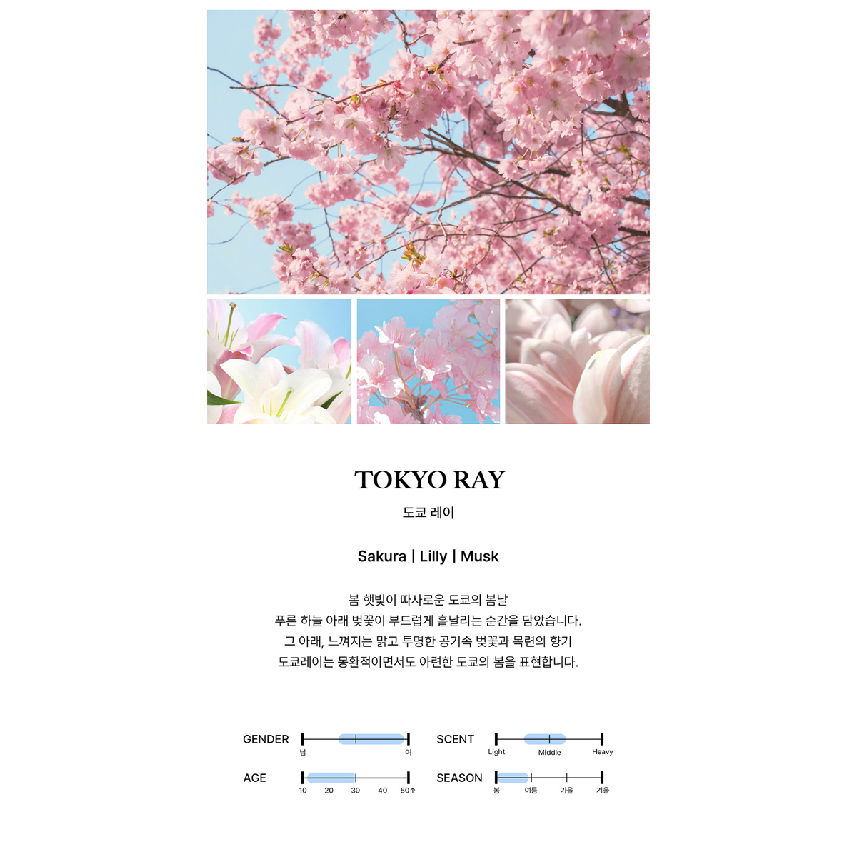 BIBIANG Tokyo Ray actual complete manufacturer scent profile and fragrance-note illustration