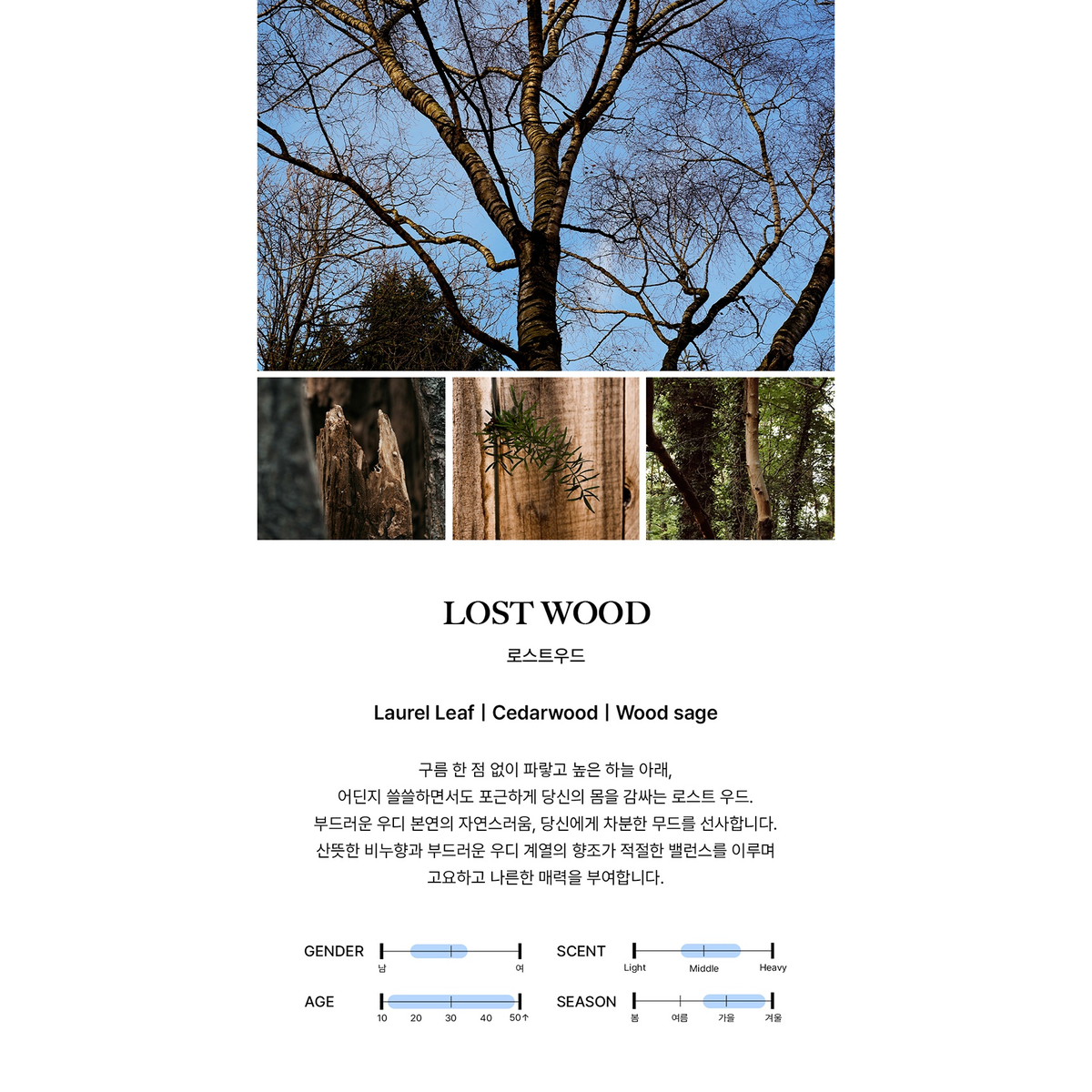 BIBIANG Lost Wood: complete original scent profile and fragrance-note guide.
