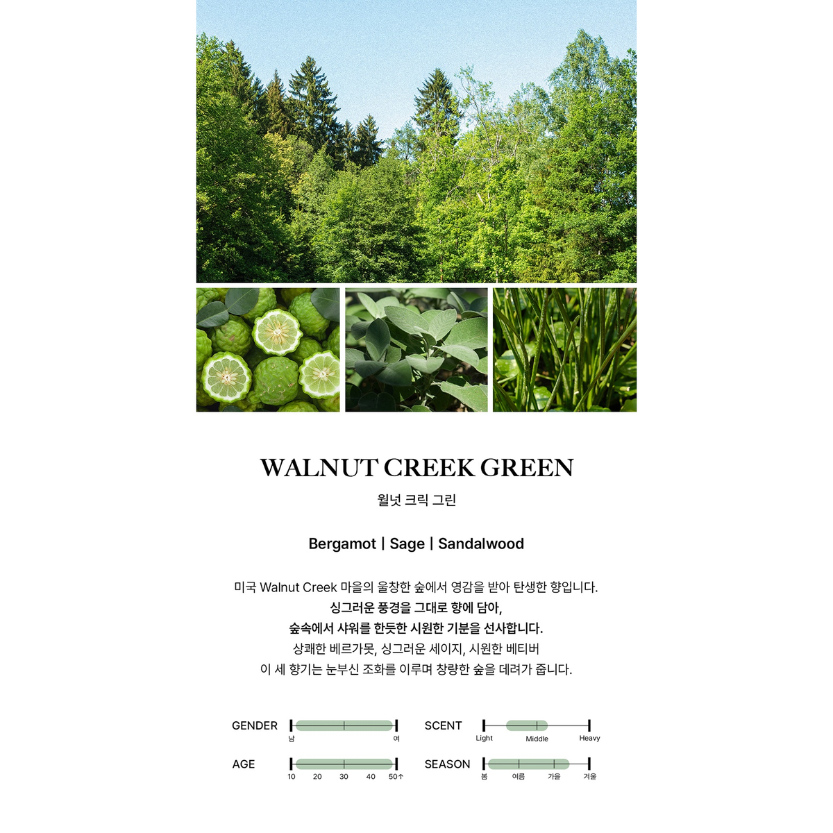 BIBIANG Walnut Creek Green: complete original scent profile and fragrance-note guide.