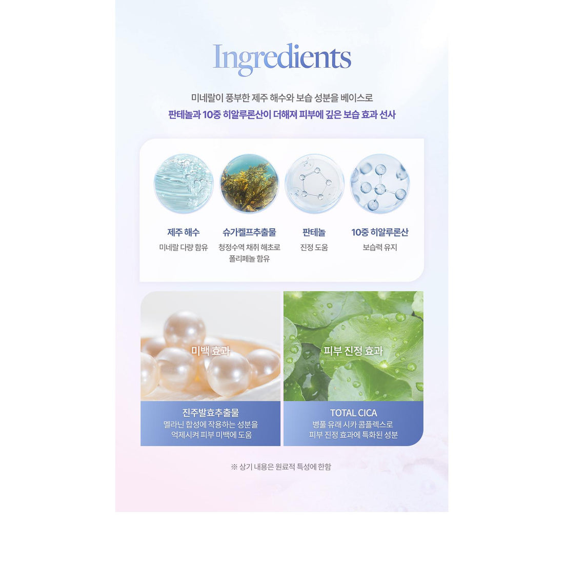 dasique Aqua Shell Sun Cream SPF50+ PA++++ 50ml product details