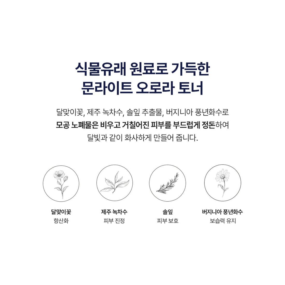 Complete Moonseal Aurora Toner botanical ingredient guide, including green tea leaf water, evening primrose, pine leaf and witch hazel.