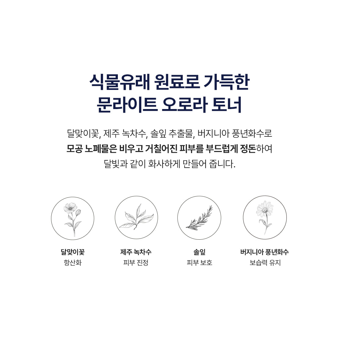 Complete Moonseal Aurora Toner botanical ingredient guide, including green tea leaf water, evening primrose, pine leaf and witch hazel.