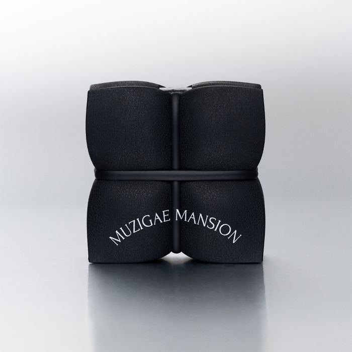 MUZIGAE MANSION Sleek Matt Cushion 15g genuine exact sale-unit photograph.