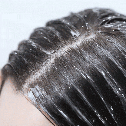 Original scalp treatment application demonstration.