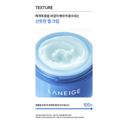 Complete original LANEIGE texture panel with all its own heading and captions.