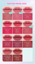 Complete standard cool shade guide, eleven individually named colors