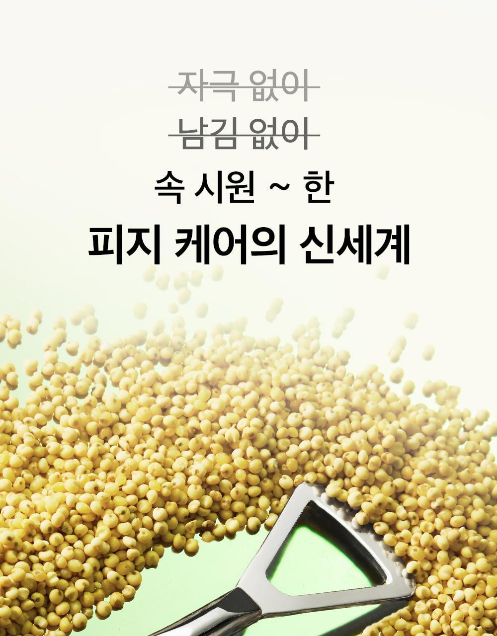 beplain - Mung Bean Pore Scaling Water 150ml + Cotton Pad 40 Sheets