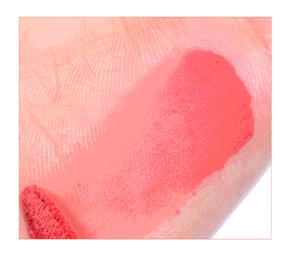 COLORGRAM Nude Blur Tint (Zanmang Loopy Edition)